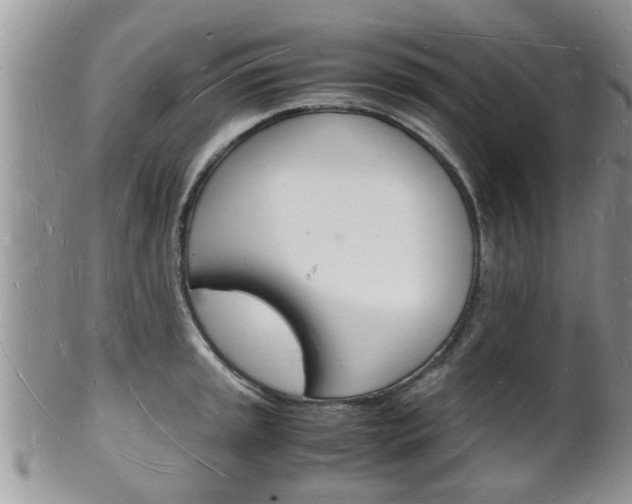 X0000102781045200808180927