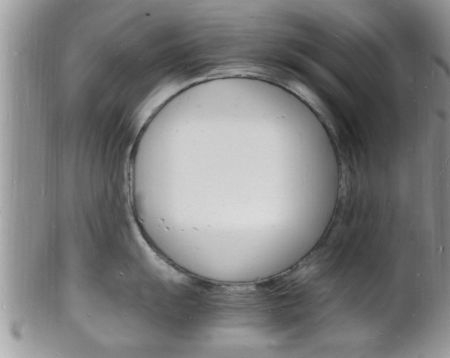 X0000102781055200808180927