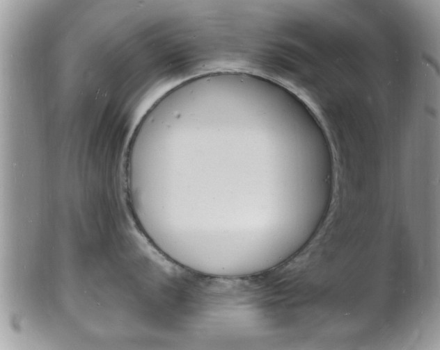 X0000102781056200808180927