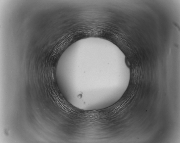 X0000102781058200808180926