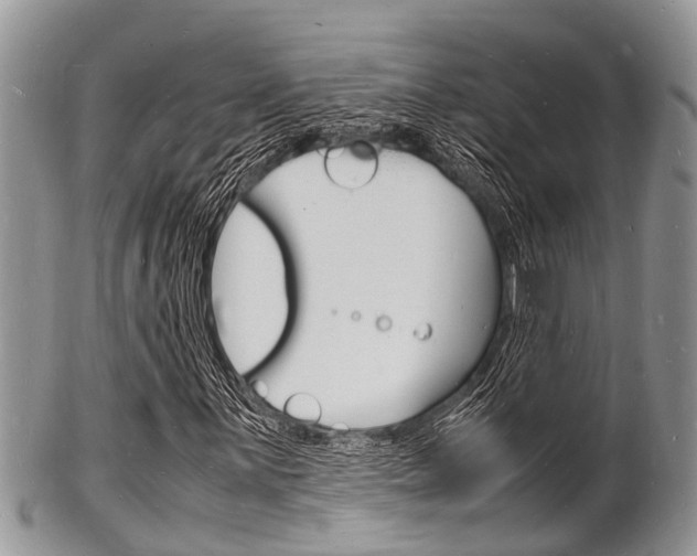 X0000102781059200808180926