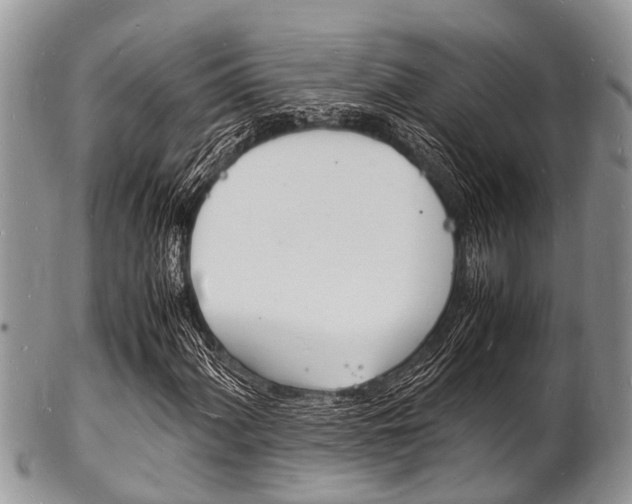X0000102781060200808180926