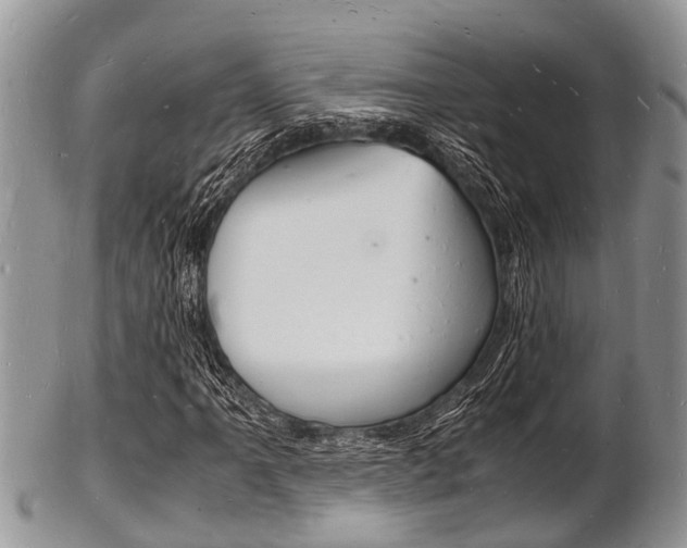 X0000102781061200808180926