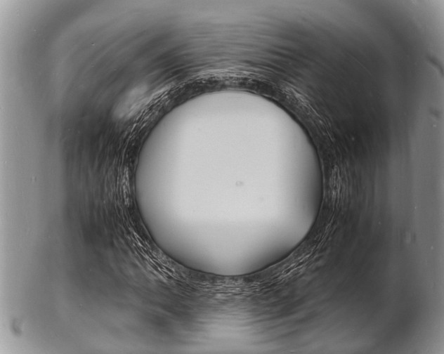 X0000102781062200808180926