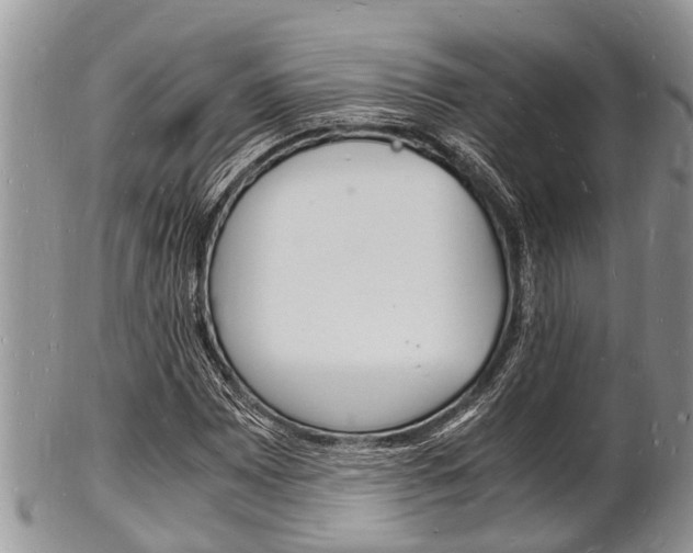 X0000102781065200808180926