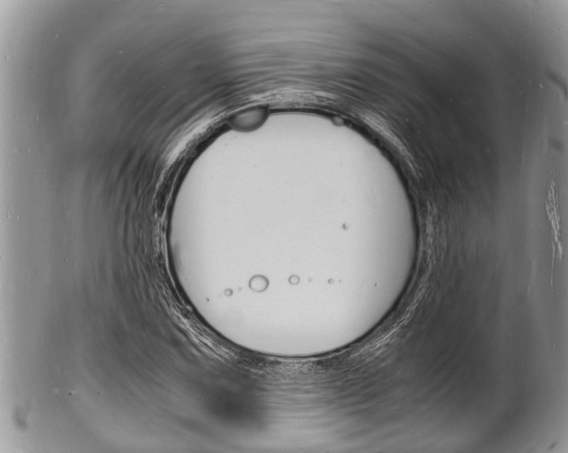 X0000102781067200808180926