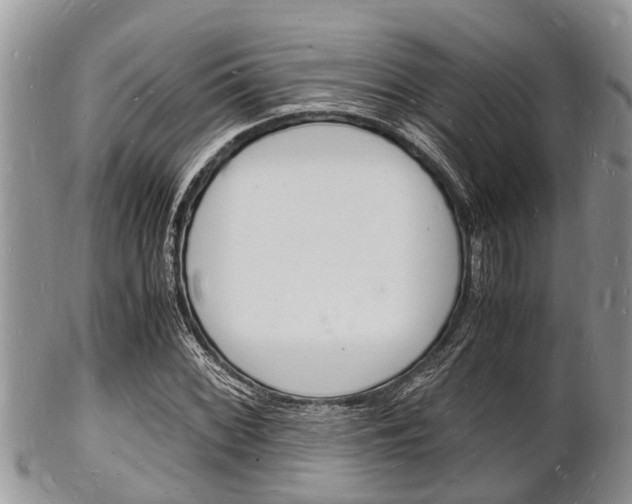 X0000102781068200808180926