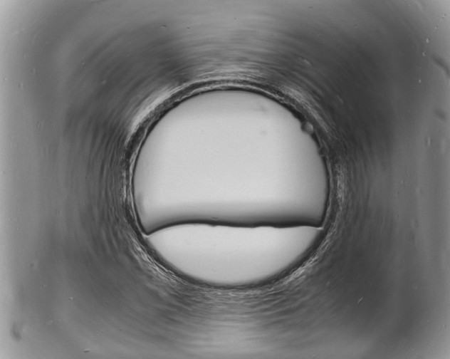 X0000102781069200808180926