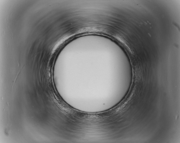 X0000102781070200808180926