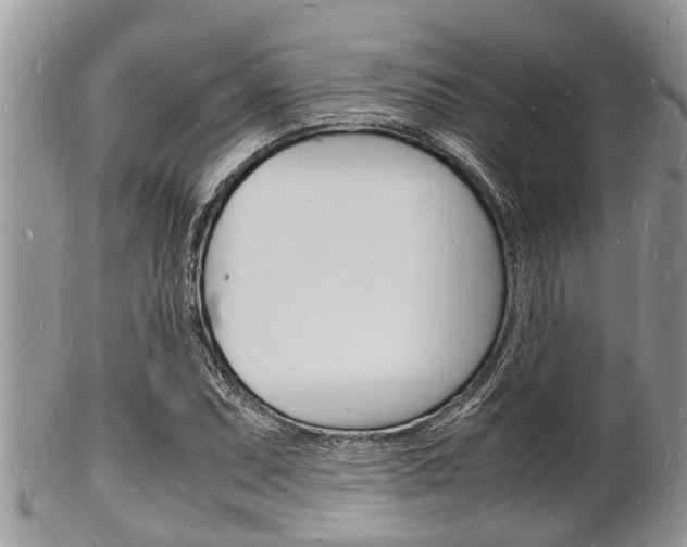 X0000102781071200808180926