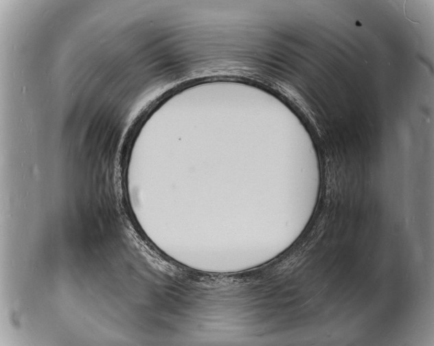 X0000102781072200808180926