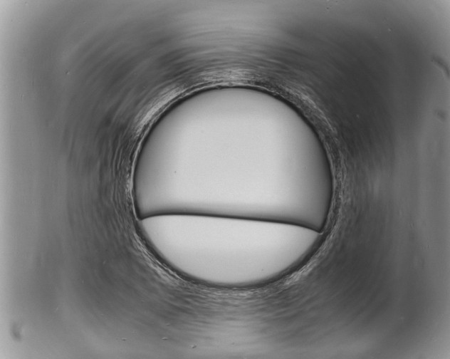 X0000102781073200808180926