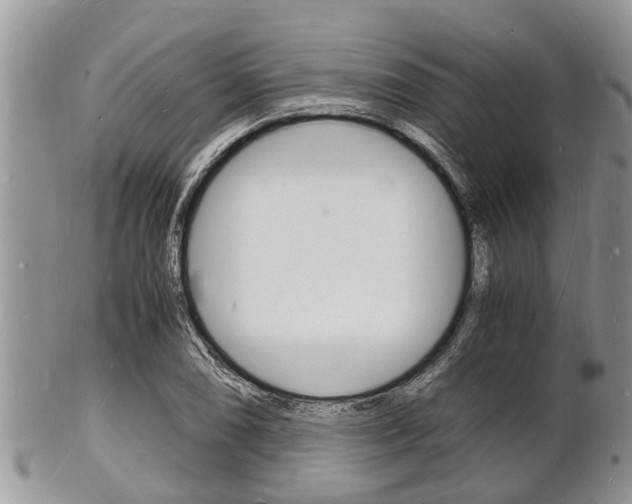 X0000102781074200808180926