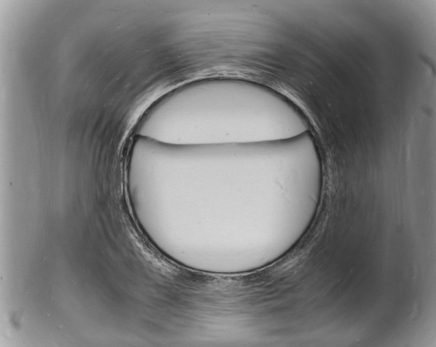 X0000102781075200808180926