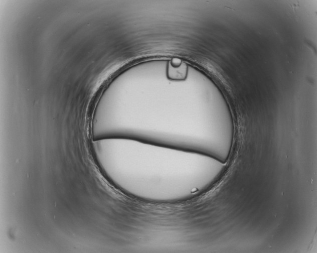 X0000102781077200808180926