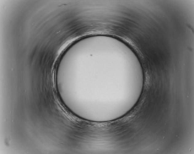 X0000102781078200808180926