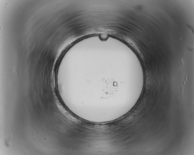X0000102781080200808180926
