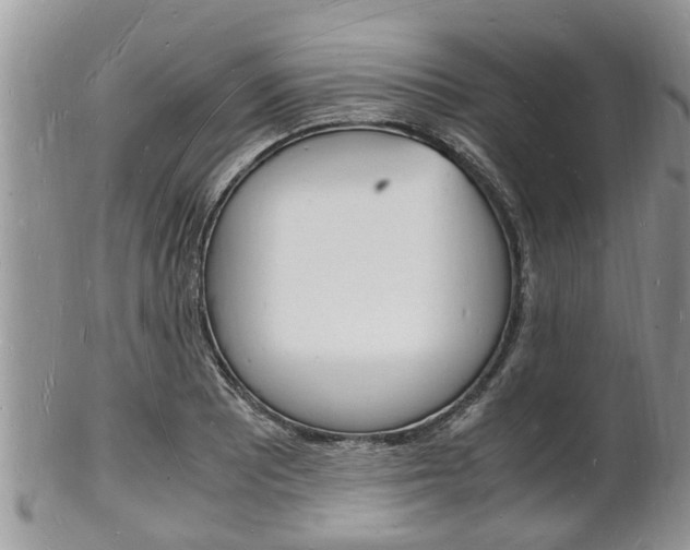 X0000102781081200808180926