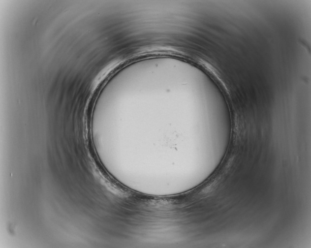 X0000102781082200808180926