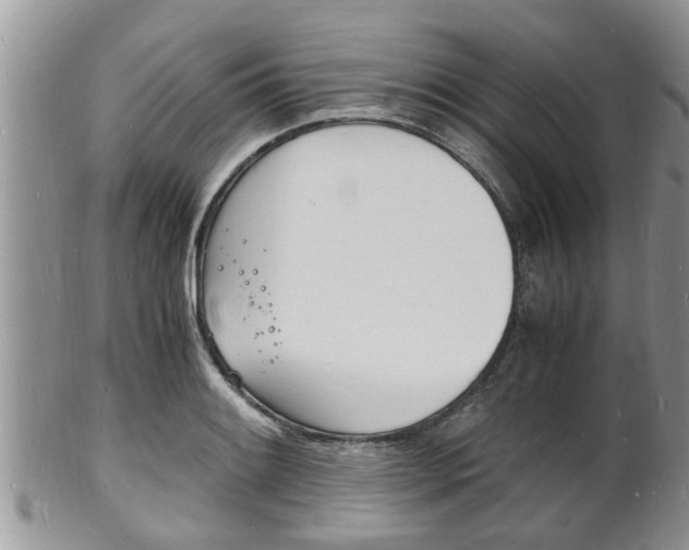 X0000102781084200808180926