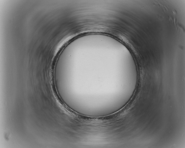 X0000102781085200808180926