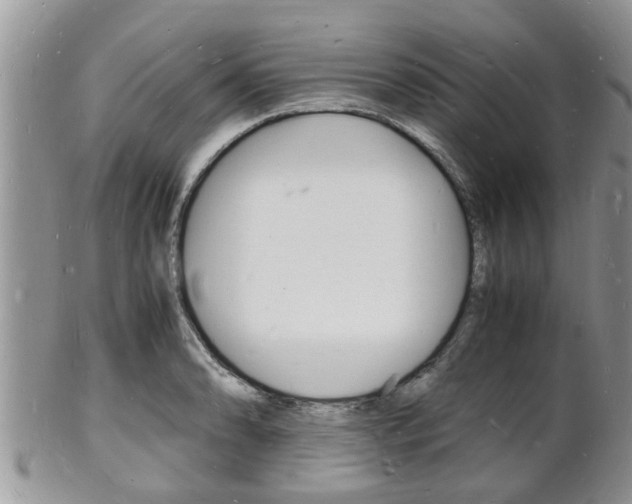X0000102781086200808180926