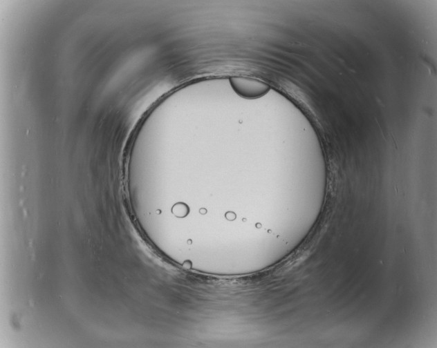 X0000102781087200808180926