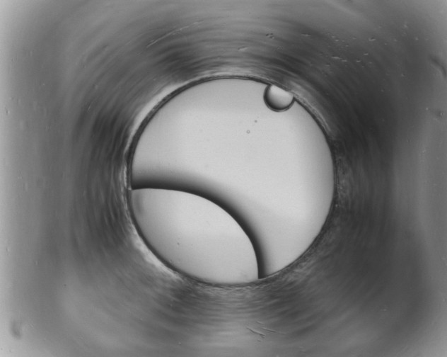 X0000102781092200808180926