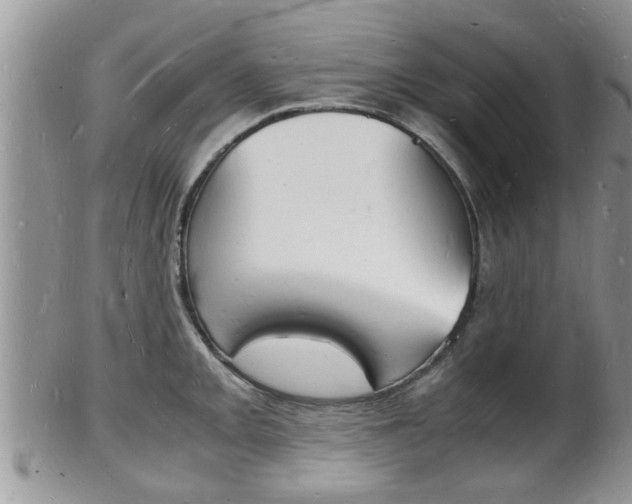 X0000102781093200808180926