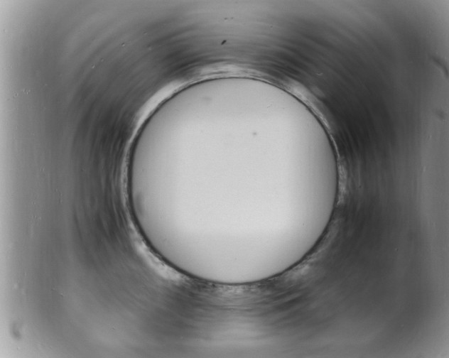X0000102781098200808180926