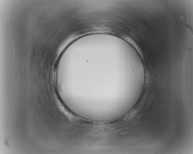 X0000102781099200808180926