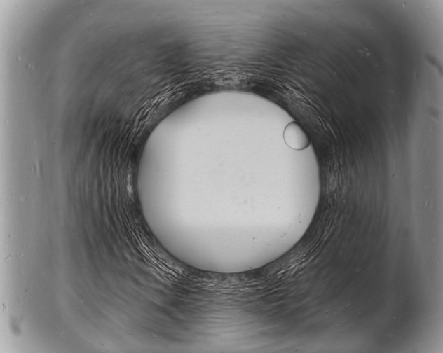 X0000102781106200808180925