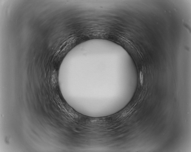 X0000102781107200808180925