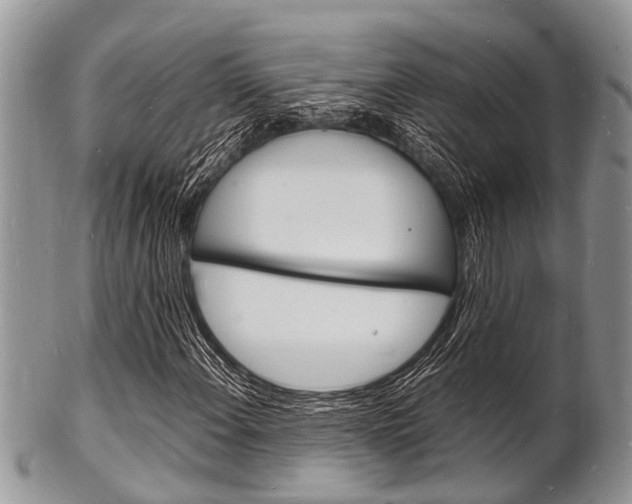 X0000102781108200808180925
