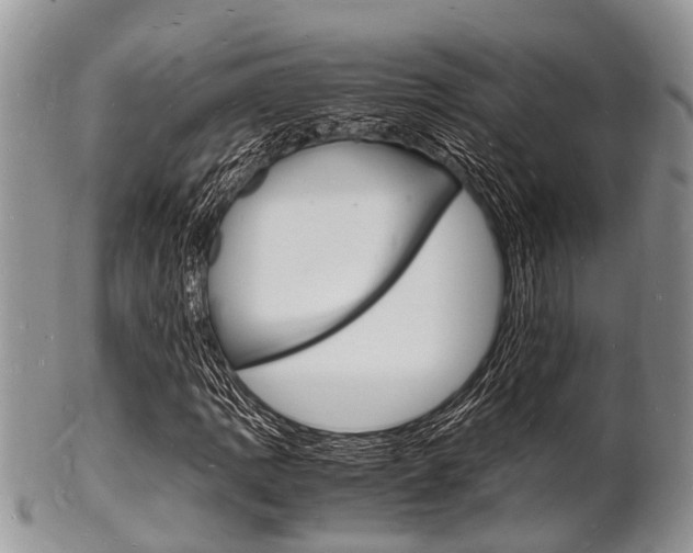 X0000102781109200808180925