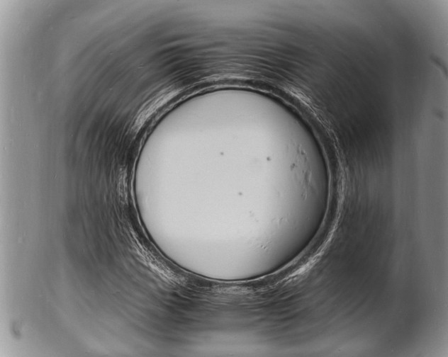 X0000102781113200808180925