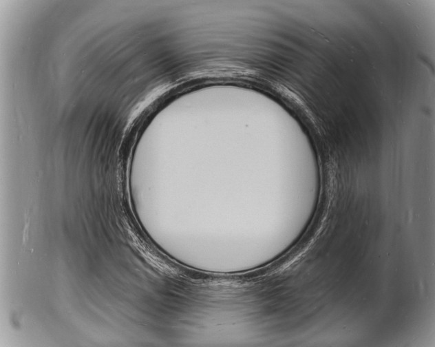 X0000102781114200808180925