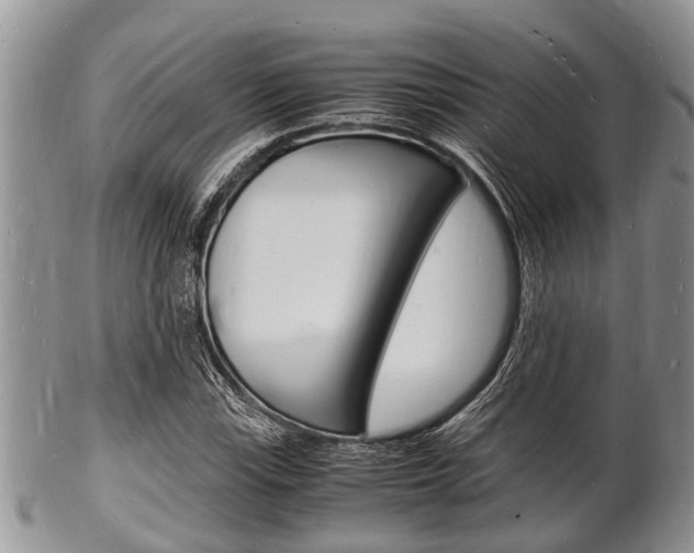 X0000102781115200808180925