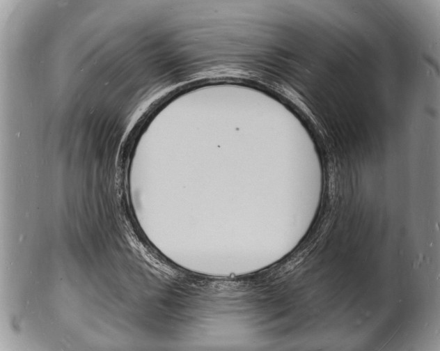 X0000102781116200808180925