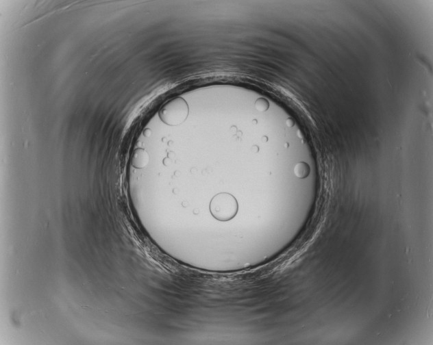 X0000102781117200808180925