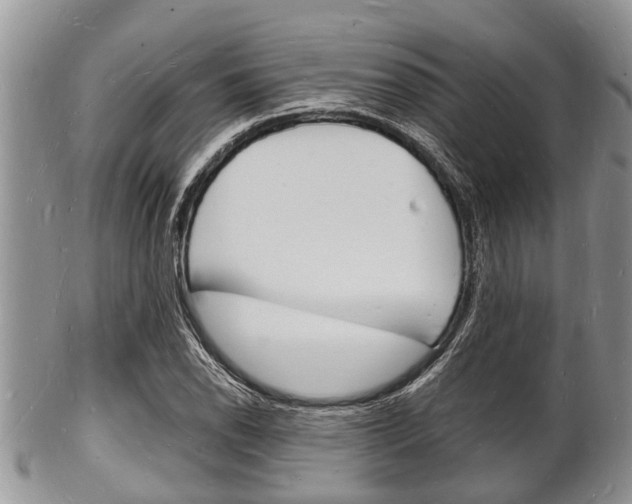 X0000102781118200808180925