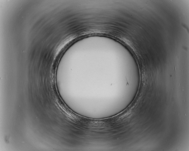 X0000102781119200808180925