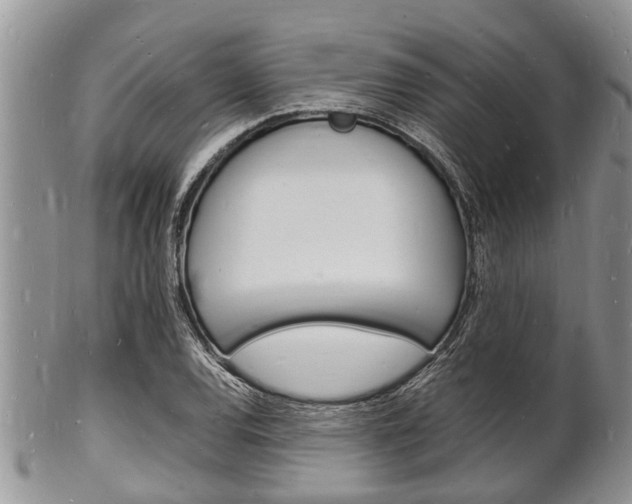 X0000102781120200808180925
