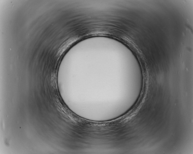 X0000102781121200808180925