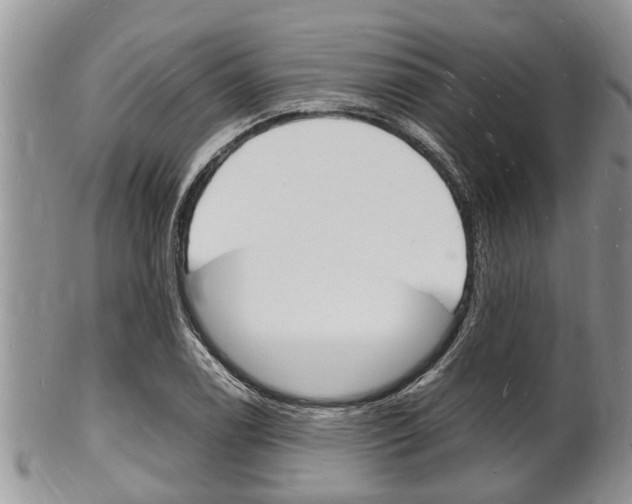 X0000102781122200808180925