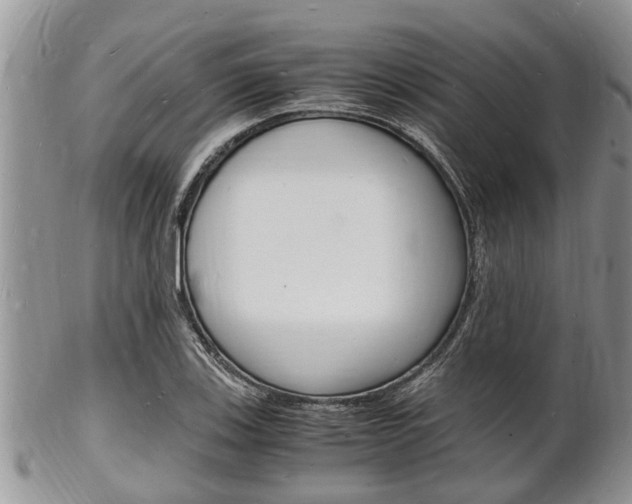 X0000102781123200808180925