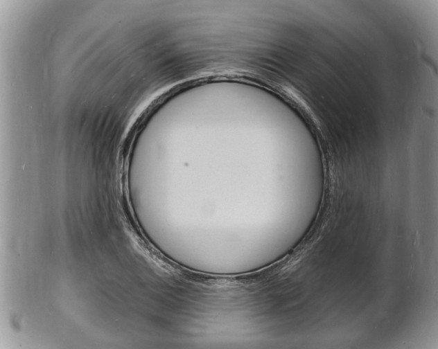X0000102781124200808180925