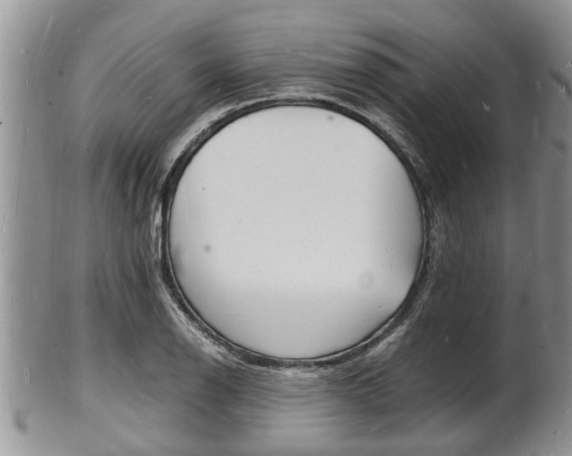 X0000102781126200808180925
