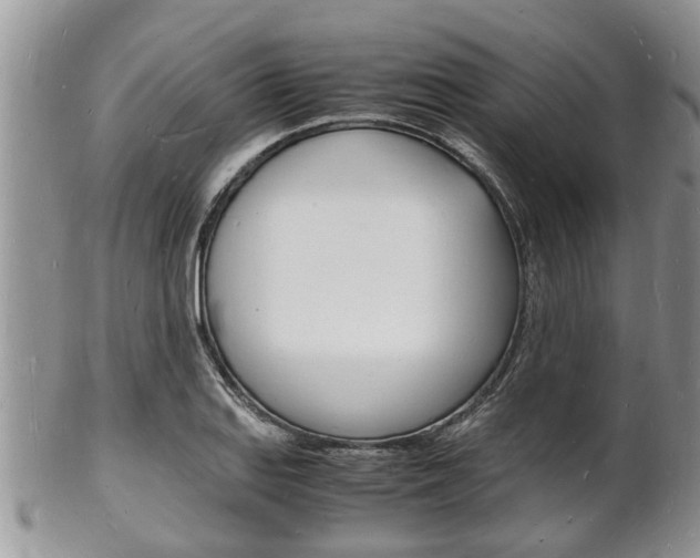 X0000102781127200808180925