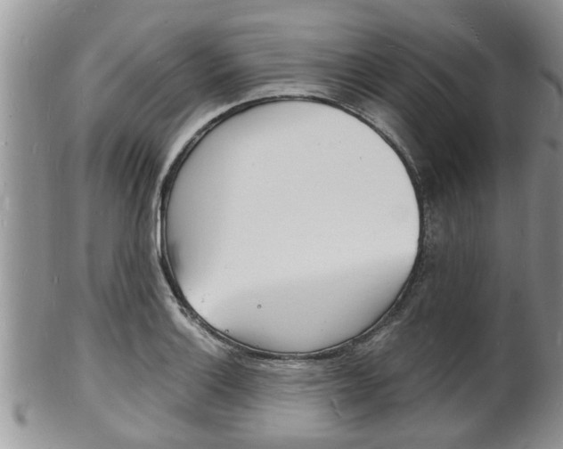 X0000102781132200808180925